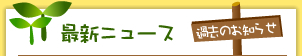 最新ニュース