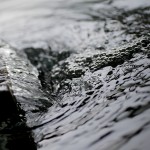 豊寿園のお風呂 大浴室 豊寿園のお風呂 大浴室